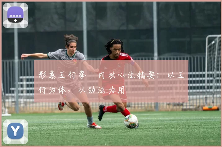 形意五行拳・内功心法精要：以五行为体，以劲法为用