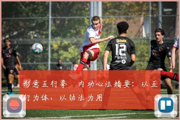 形意五行拳・内功心法精要：以五行为体，以劲法为用