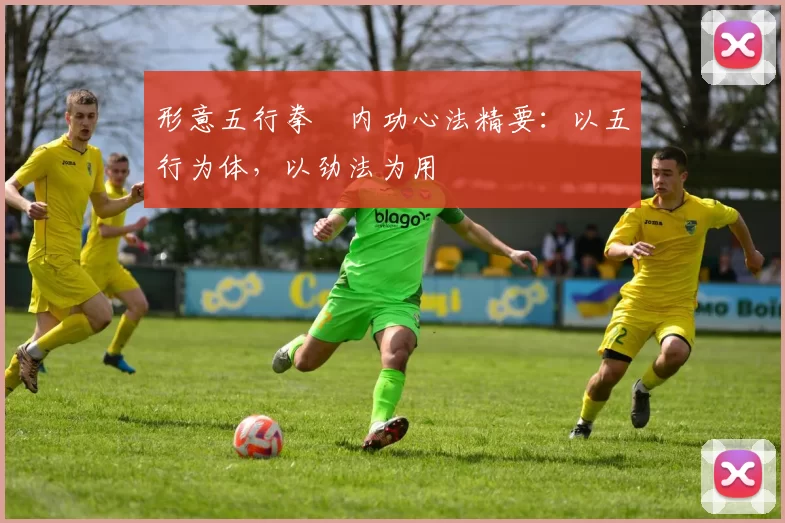 形意五行拳・内功心法精要:以五行为体,以劲法为用