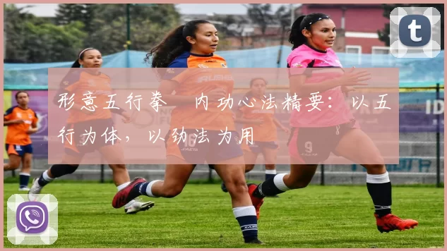 形意五行拳・内功心法精要:以五行为体,以劲法为用