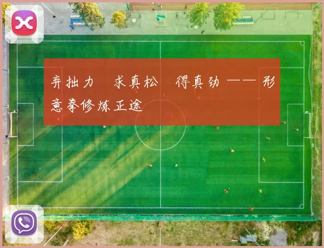 弃拙力・求真松・得真劲 —— 形意拳修炼正途