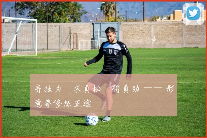 弃拙力・求真松・得真劲 —— 形意拳修炼正途