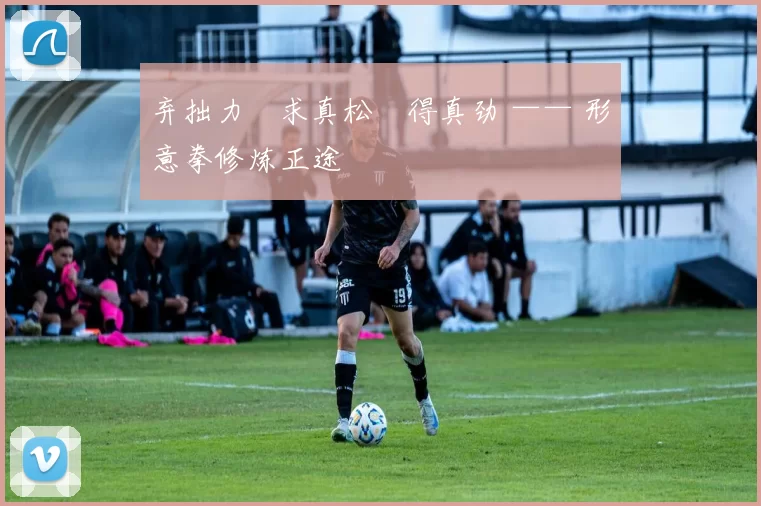 弃拙力・求真松・得真劲 —— 形意拳修炼正途