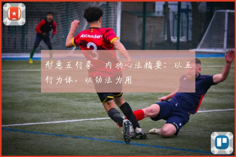 形意五行拳・内功心法精要:以五行为体,以劲法为用