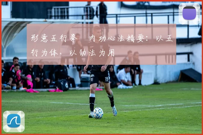 形意五行拳・内功心法精要：以五行为体，以劲法为用