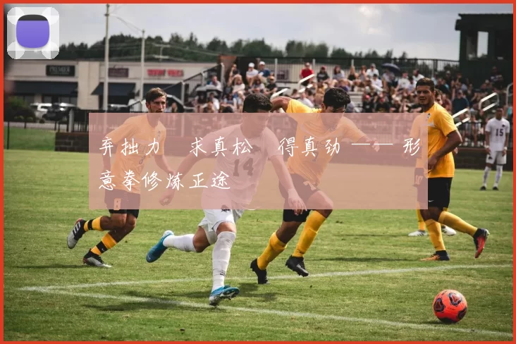 弃拙力・求真松・得真劲 —— 形意拳修炼正途