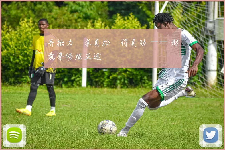 弃拙力・求真松・得真劲 —— 形意拳修炼正途