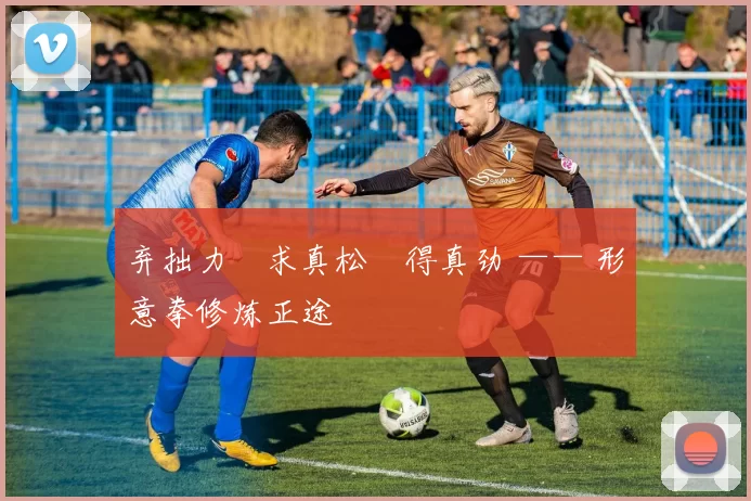 弃拙力・求真松・得真劲 —— 形意拳修炼正途