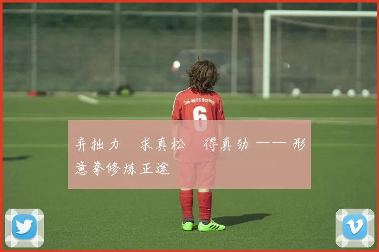 弃拙力・求真松・得真劲 —— 形意拳修炼正途