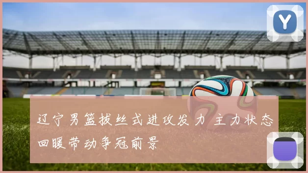 辽宁男篮拔丝式进攻发力 主力状态回暖带动争冠前景