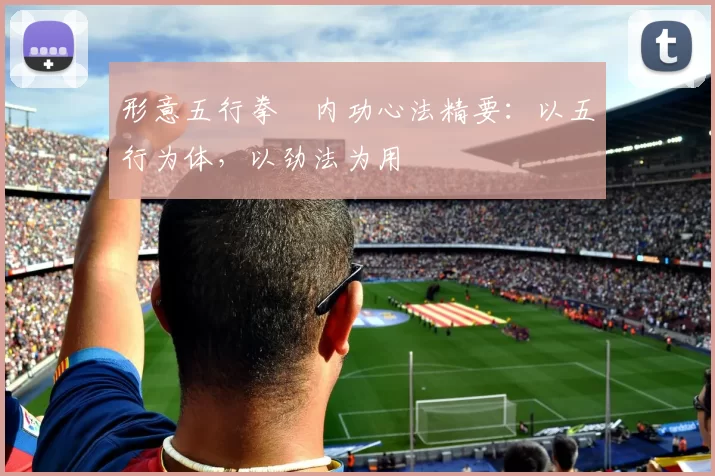 形意五行拳・内功心法精要：以五行为体，以劲法为用