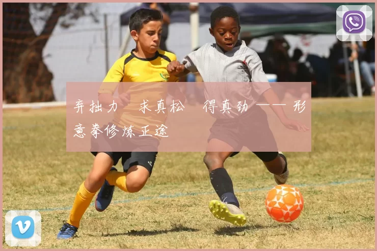 弃拙力・求真松・得真劲 —— 形意拳修炼正途