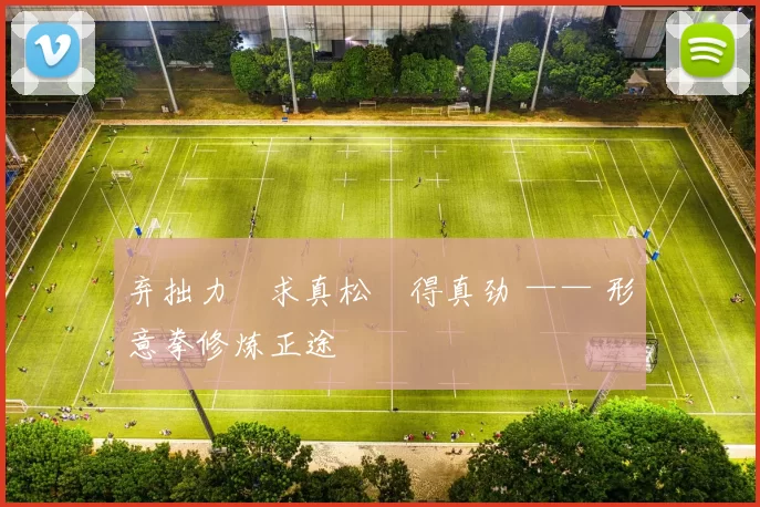 弃拙力・求真松・得真劲 —— 形意拳修炼正途