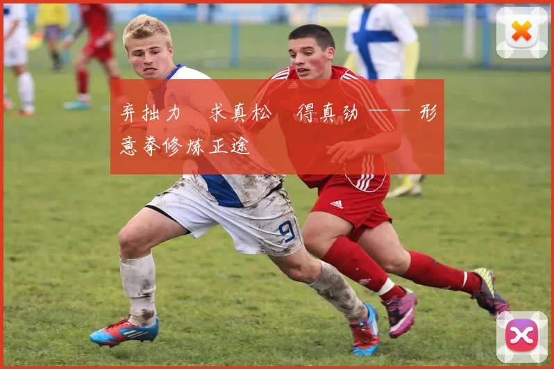 弃拙力・求真松・得真劲 —— 形意拳修炼正途