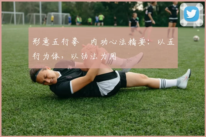形意五行拳・内功心法精要：以五行为体，以劲法为用