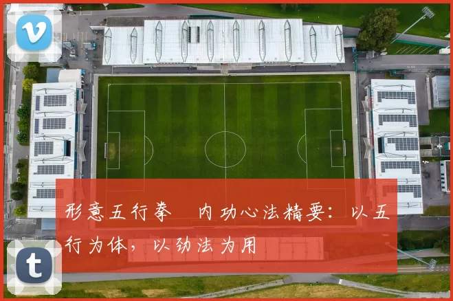 形意五行拳・内功心法精要:以五行为体,以劲法为用