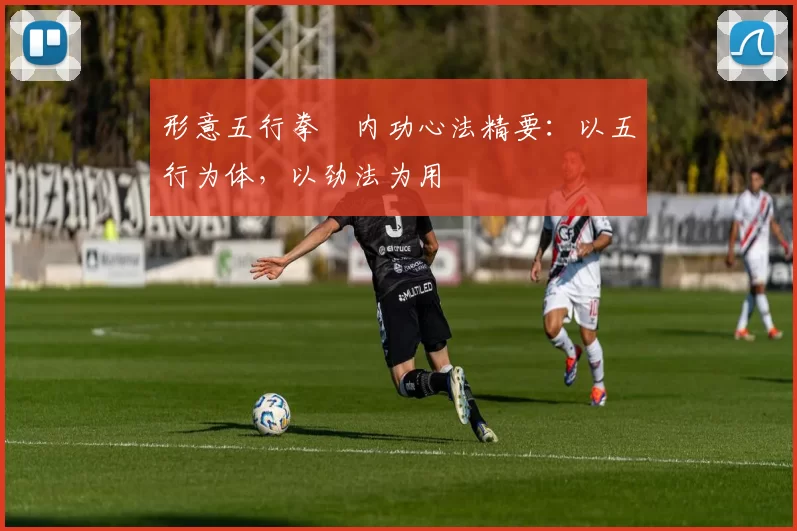 形意五行拳・内功心法精要：以五行为体，以劲法为用