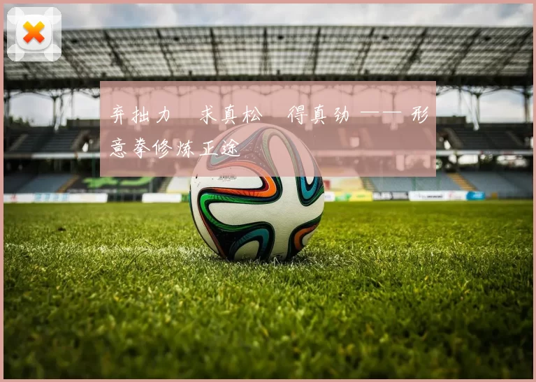 弃拙力・求真松・得真劲 —— 形意拳修炼正途