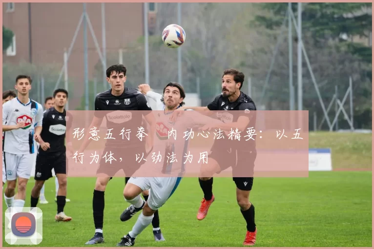 形意五行拳・内功心法精要：以五行为体，以劲法为用