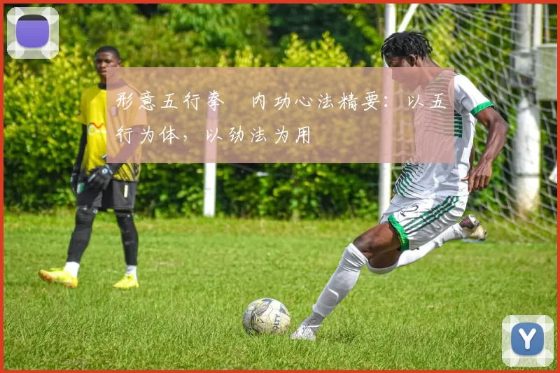 形意五行拳・内功心法精要:以五行为体,以劲法为用