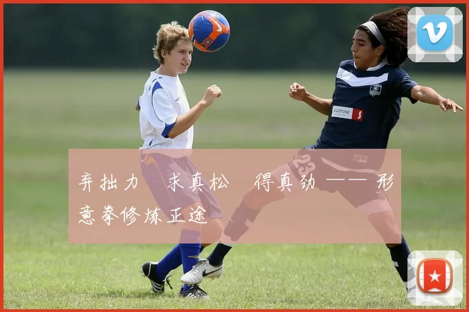 弃拙力・求真松・得真劲 —— 形意拳修炼正途