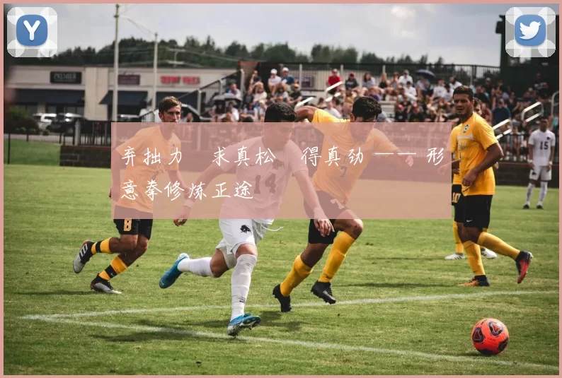 弃拙力・求真松・得真劲 —— 形意拳修炼正途