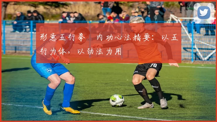 形意五行拳・内功心法精要：以五行为体，以劲法为用