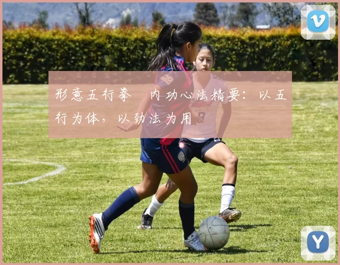 形意五行拳・内功心法精要：以五行为体，以劲法为用