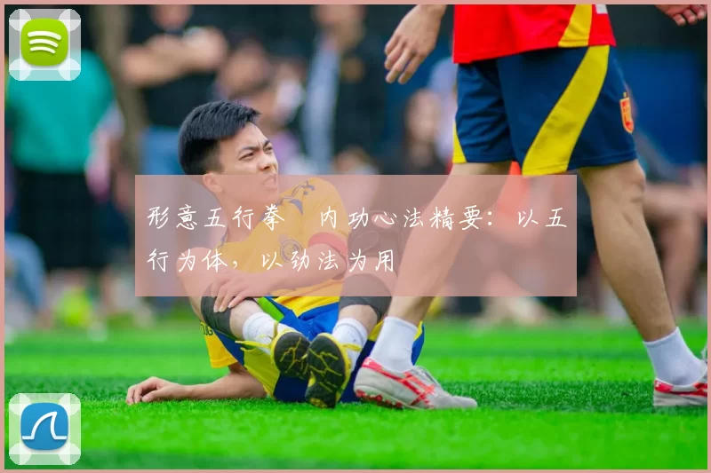 形意五行拳・内功心法精要:以五行为体,以劲法为用