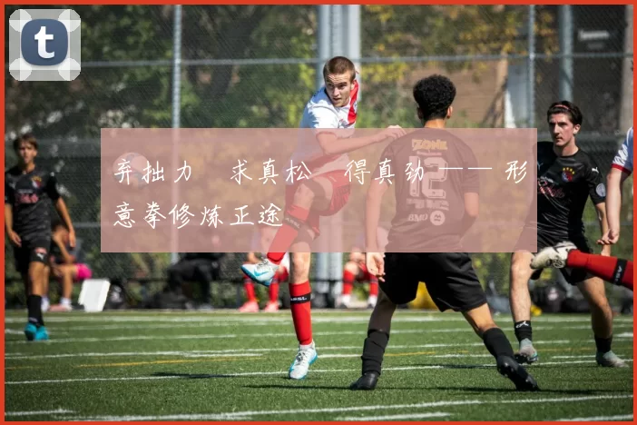 弃拙力・求真松・得真劲 —— 形意拳修炼正途