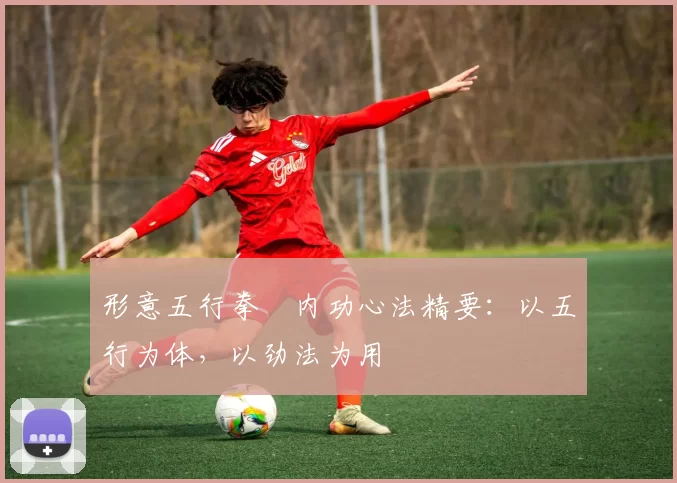 形意五行拳・内功心法精要:以五行为体,以劲法为用