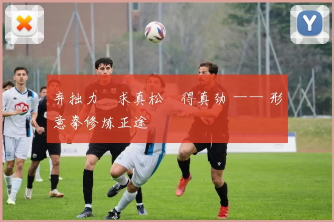 弃拙力・求真松・得真劲 —— 形意拳修炼正途