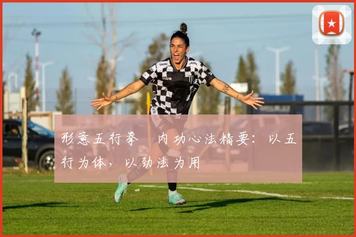 形意五行拳・内功心法精要：以五行为体，以劲法为用