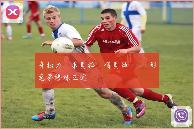 弃拙力・求真松・得真劲 —— 形意拳修炼正途