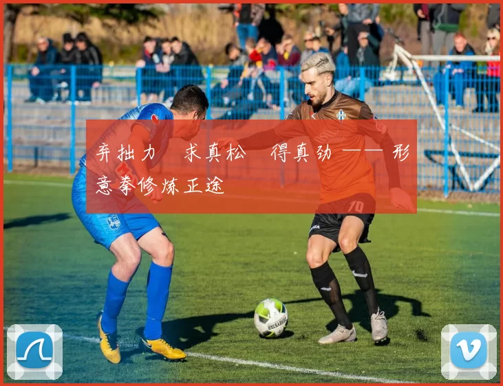 弃拙力・求真松・得真劲 —— 形意拳修炼正途