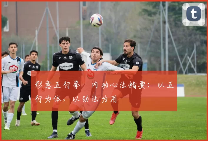 形意五行拳・内功心法精要：以五行为体，以劲法为用