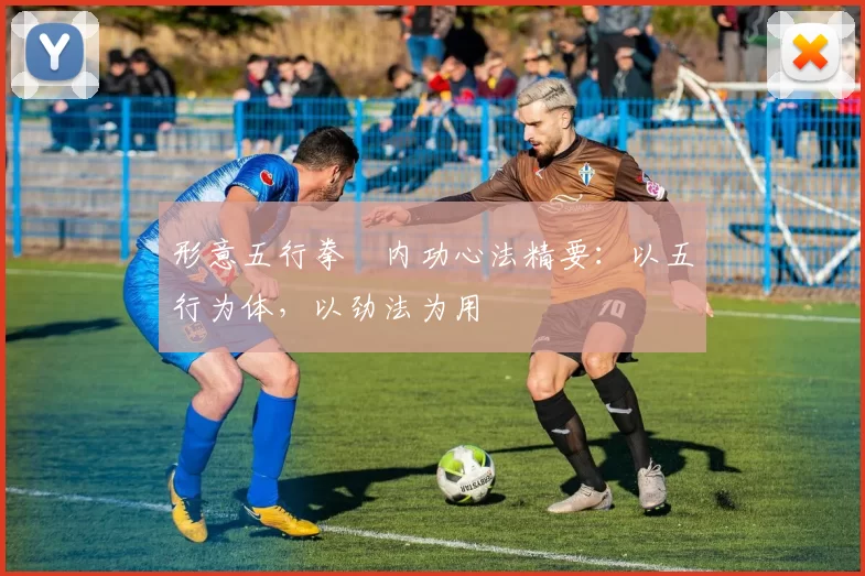 形意五行拳・内功心法精要：以五行为体，以劲法为用