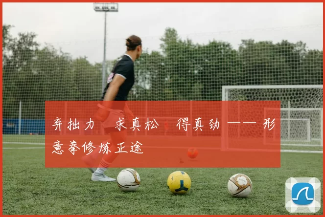 弃拙力・求真松・得真劲 —— 形意拳修炼正途