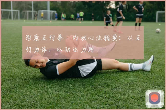 形意五行拳・内功心法精要：以五行为体，以劲法为用