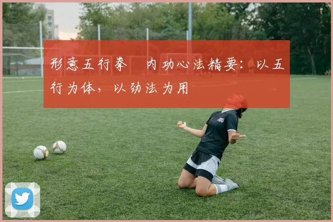 形意五行拳・内功心法精要:以五行为体,以劲法为用
