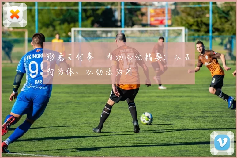 形意五行拳・内功心法精要:以五行为体,以劲法为用