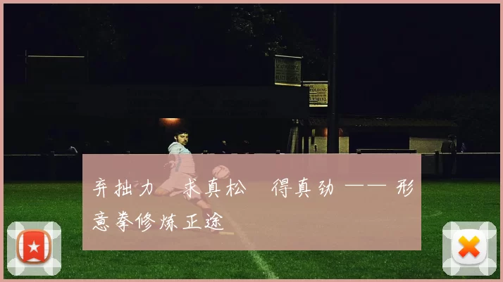 弃拙力・求真松・得真劲 —— 形意拳修炼正途