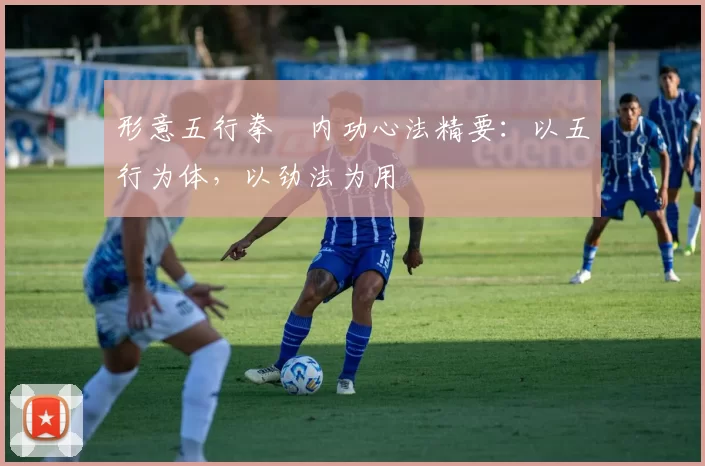 形意五行拳・内功心法精要:以五行为体,以劲法为用