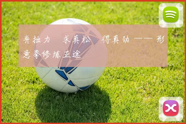 弃拙力・求真松・得真劲 —— 形意拳修炼正途