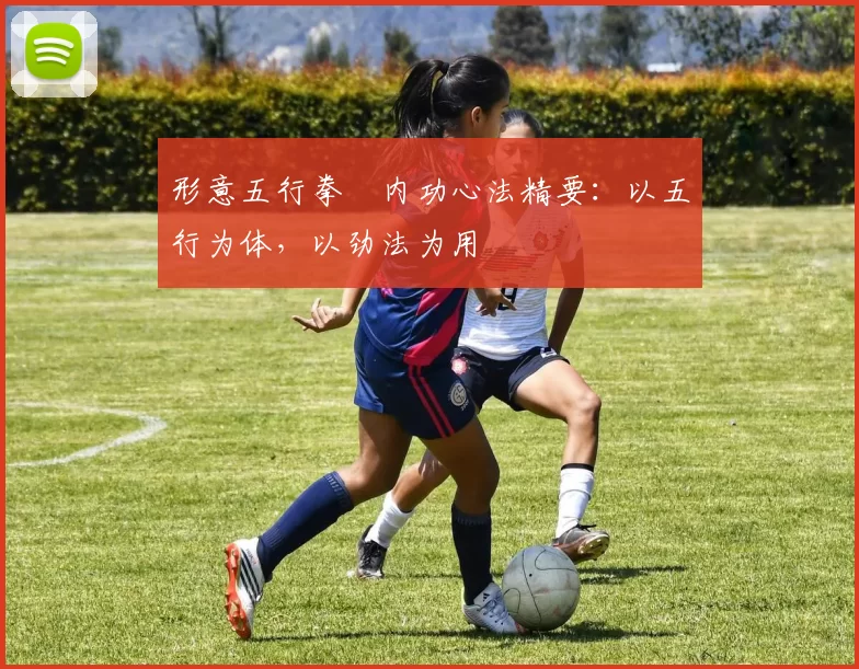 形意五行拳・内功心法精要:以五行为体,以劲法为用