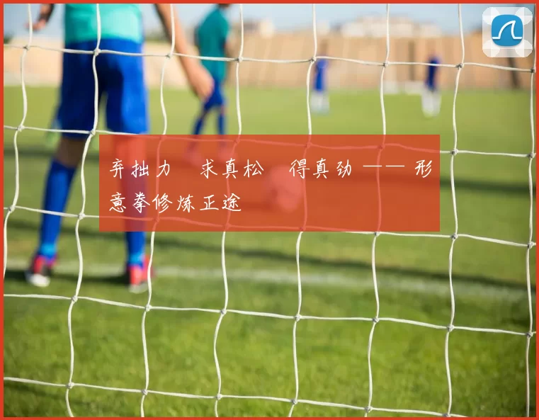 弃拙力・求真松・得真劲 —— 形意拳修炼正途