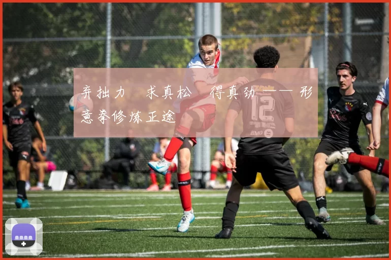 弃拙力・求真松・得真劲 —— 形意拳修炼正途