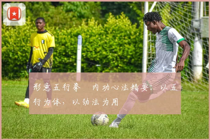 形意五行拳・内功心法精要:以五行为体,以劲法为用