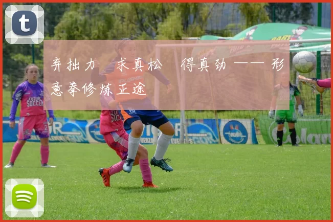 弃拙力・求真松・得真劲 —— 形意拳修炼正途