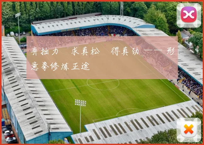 弃拙力・求真松・得真劲 —— 形意拳修炼正途